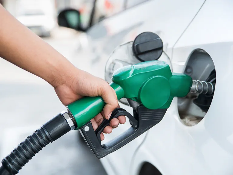 Phân tích thị trường nhiên liệu diesel sinh học toàn cầu -  Quy mô và dự báo 2024-2028