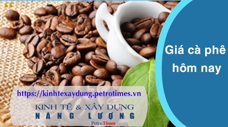 Giá cà phê hôm nay 20/2: Trong nước tăng mạnh