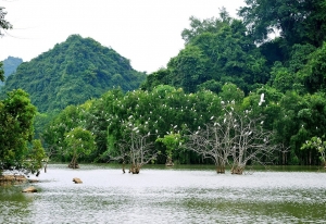 Hành trình trở về với thiên nhiên tại Khu du lịch sinh thái Thung Nham