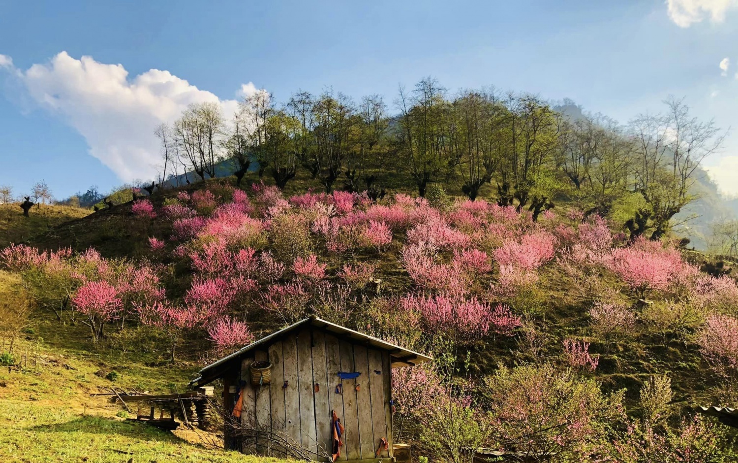 Du lịch leo núi Bát Xát - Nơi dành cho du khách chinh phục mùa xuân