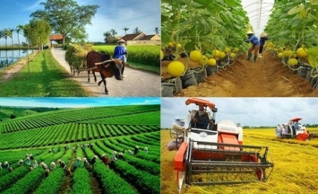 Xin ý kiến về tổng điều tra nông nghiệp, nông thôn năm 2025