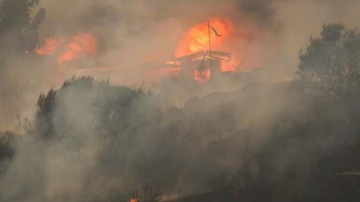 Chile có nguy cơ lặp lại các vụ cháy rừng chết người do biến đổi khí hậu