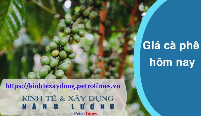 Giá cà phê hôm nay 26/2: Tăng trở lại