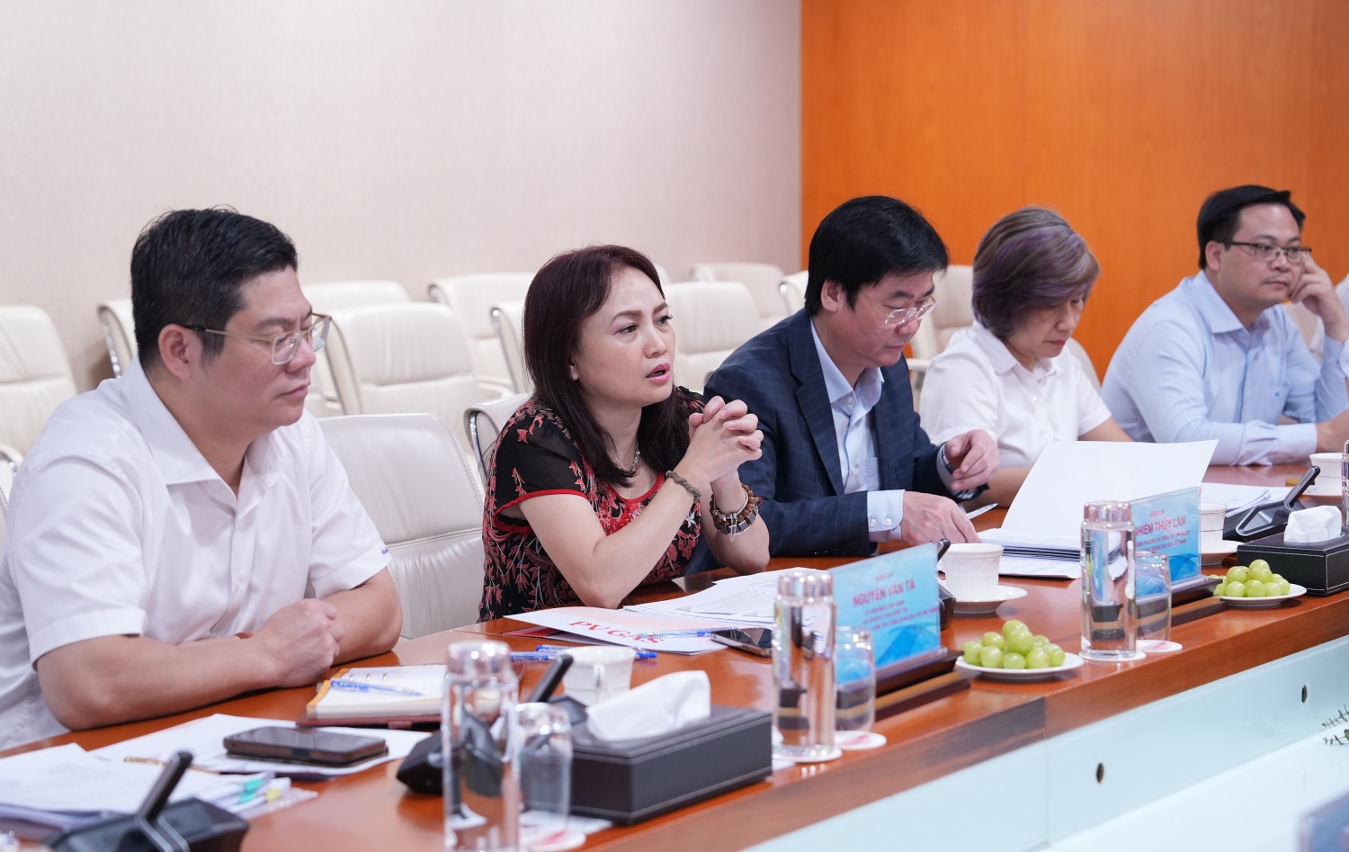 H3. Chủ tịch Công đoàn Dầu khí Việt Nam Nghiêm Thùy Lan phát biểu chỉ đạo tại buổi làm việc