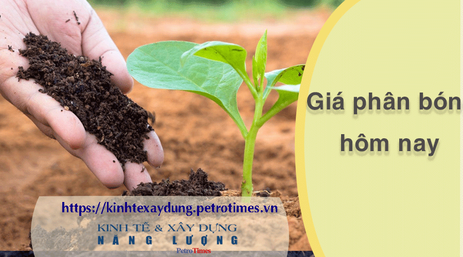 Giá phân bón hôm nay 29/2: Kali Canada giao dịch tại Hải Phòng nhu cầu tăng cao