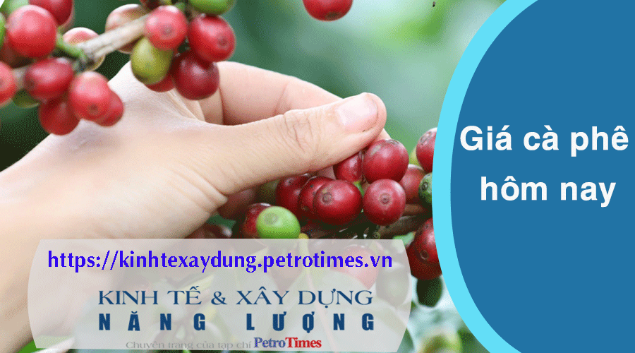 Giá cà phê hôm nay 3/3: Robusta tăng giảm hỗn hợp trong cả phiên