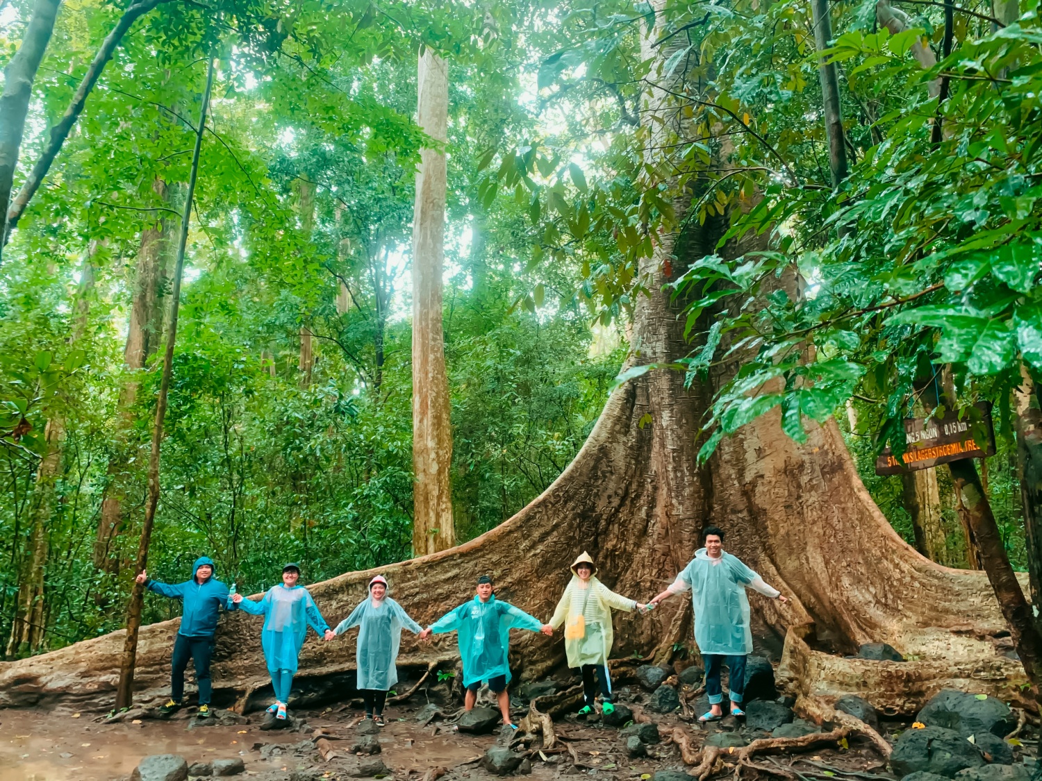 Phê duyệt Đề án phát triển giá trị hệ sinh thái rừng
