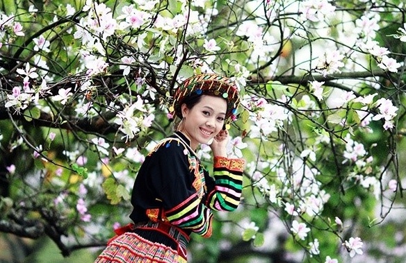 “Ngày hội hoa ban” tại Làng Văn hóa - Du lịch các dân tộc Việt Nam