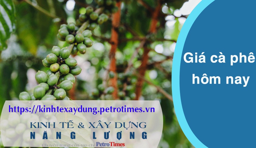 Giá cà phê hôm nay 7/3: Đồng loạt tăng