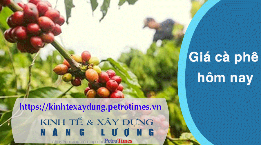 Giá cà phê hôm nay 9/3: Tăng phi mã, vượt mốc 92.000 đồng