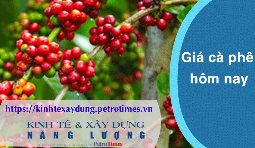 Giá cà phê hôm nay 10/3: Trong nước quay đầu giảm