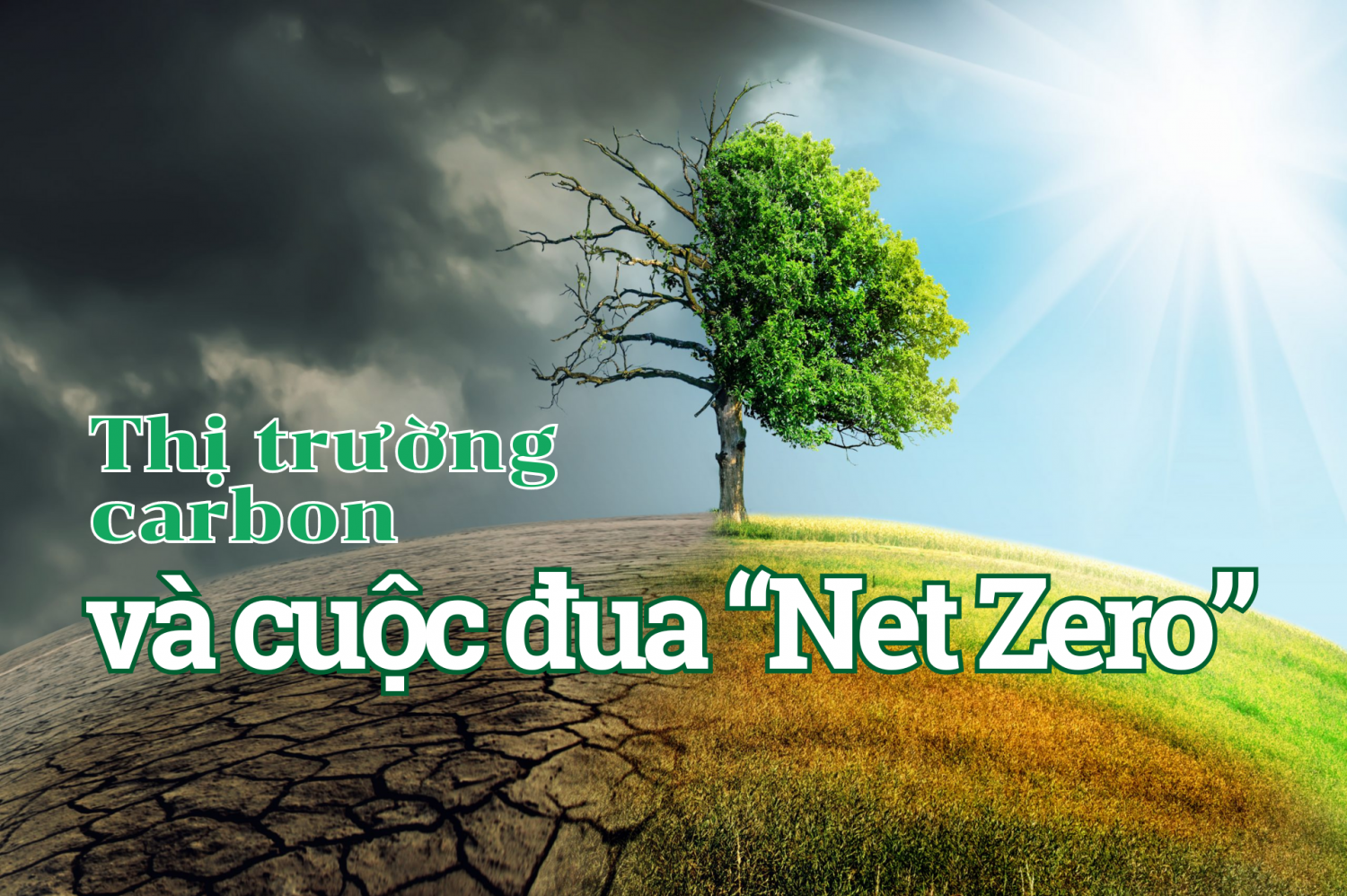 Thị trường carbon và cuộc đua “Net Zero”