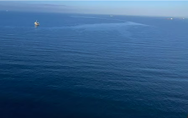 Vụ tràn dầu ngoài khơi California đã được xử lý sạch