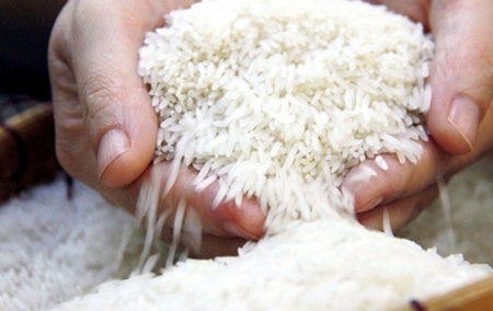 Gạo Việt ở đâu trên “bản đồ lương thực” thế giới?