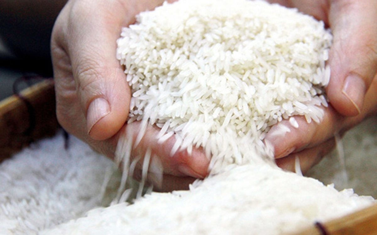Gạo Việt ở đâu trên “bản đồ lương thực” thế giới? | Quốc tế