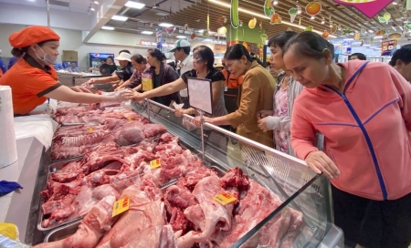 Tin tức kinh tế ngày 15/3: Thịt ngoại giá “siêu rẻ” ồ ạt tràn vào Việt Nam