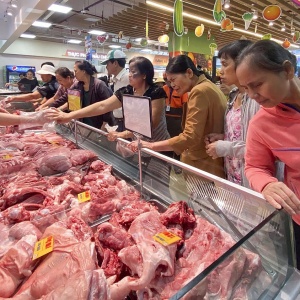Tin tức kinh tế ngày 15/3: Thịt ngoại giá “siêu rẻ” ồ ạt tràn vào Việt Nam