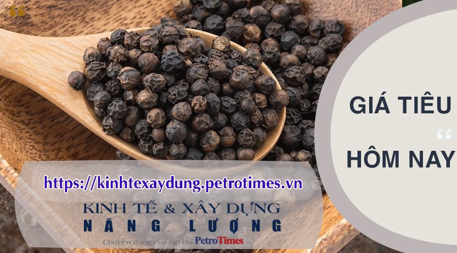 Giá tiêu hôm nay 16/3: Thị trường trong nước chững lại