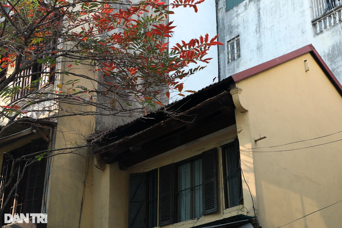 Những ngôi nhà cổ trong sắc đỏ của lá cây bằng lăng trên các tuyến phố ở Hà Nội