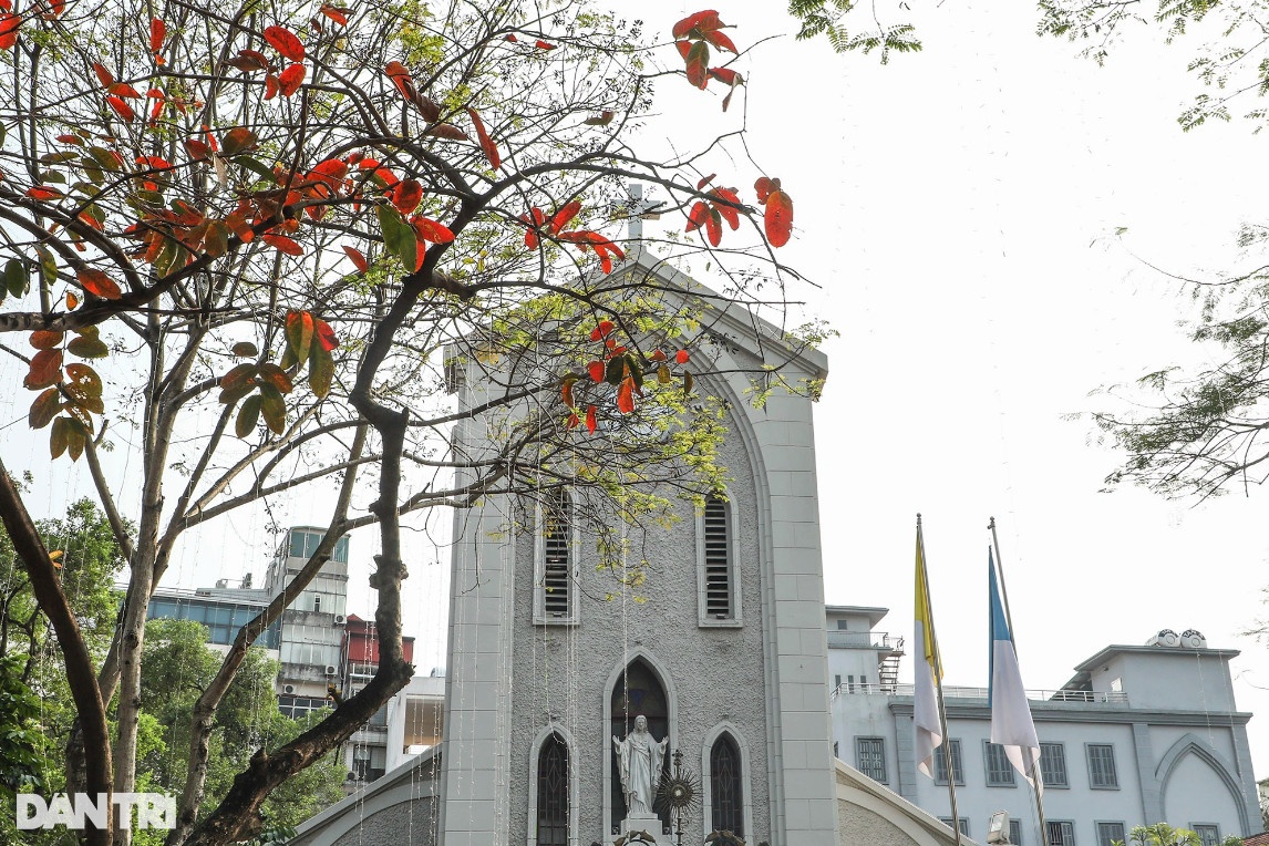 Nhà thờ Hàm Long dưới tán lá đỏ rực rỡ của cây bằng lăng.