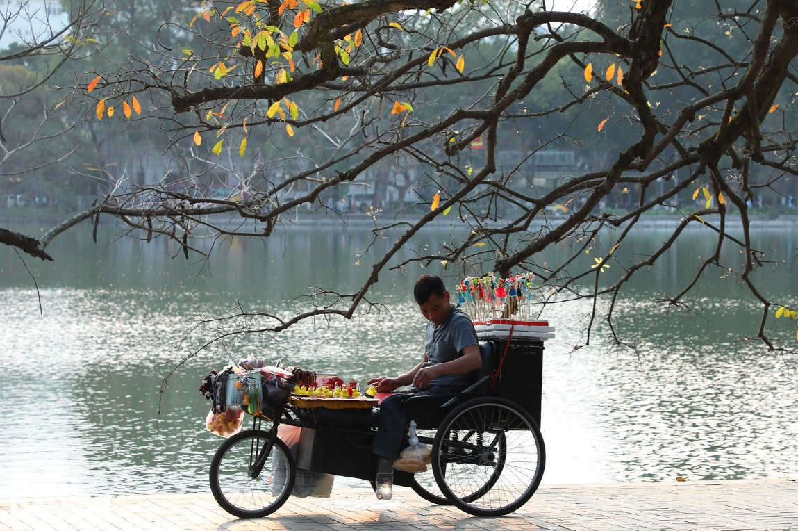 Cây lộc vừng cổ thụ ở hồ Hoàn Kiếm đã trở thành một điểm thu hút với nhiều người dân bởi vẻ đẹp rực rỡ khi lá chuyển màu trong tiết xuân ấm áp.