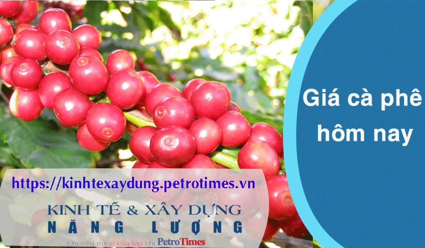 Giá cà phê hôm nay 18/3: Robusta và Arabica đều giữ ổn định