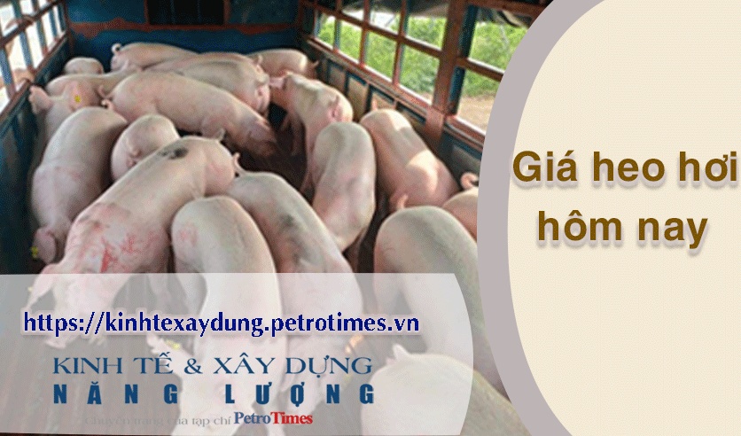 Giá heo hơi hôm nay 18/3: Thị trường lặng sóng