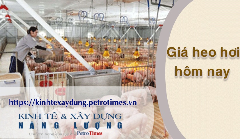 Giá heo hơi hôm nay 19/3: Duy trì ổn định