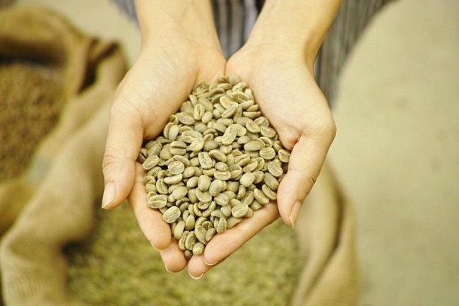 Các nhà rang xay trên thế giới thích ứng với biến động cà phê robusta Việt Nam bằng cách chuyển sang mua cà phê Ấn Độ và trộn arabica của Brazil. (Ảnh minh họa. Nguồn: T.L)