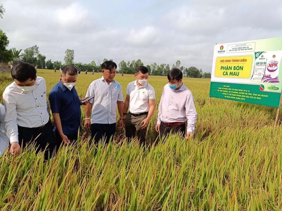 Phân bón Cà Mau - Doanh nghiệp Hàng Việt Nam chất lượng cao trước chặng đường phát triển mới