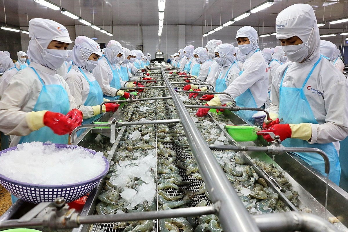 Xuất khẩu tôm sang Mỹ, Trung Quốc đồng loạt tăng trưởng