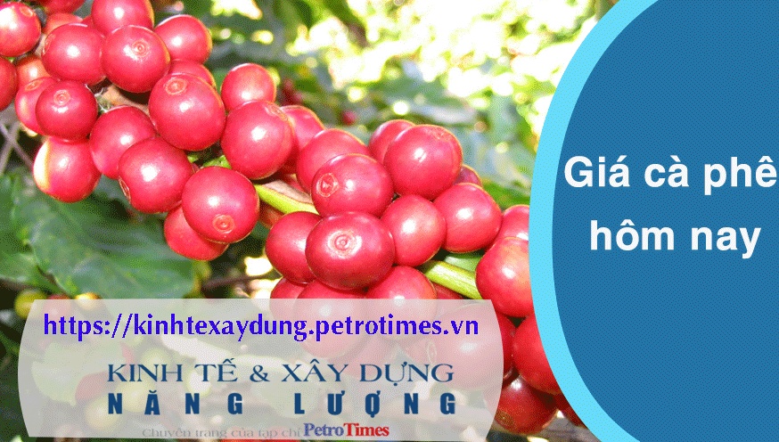 Giá cà phê hôm nay 23/3: Trong nước tăng mạnh trở lại