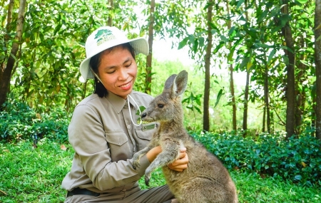 Thầm lặng những "bảo mẫu lênh đênh ngày đêm" cùng động vật hoang dã ở River Safari