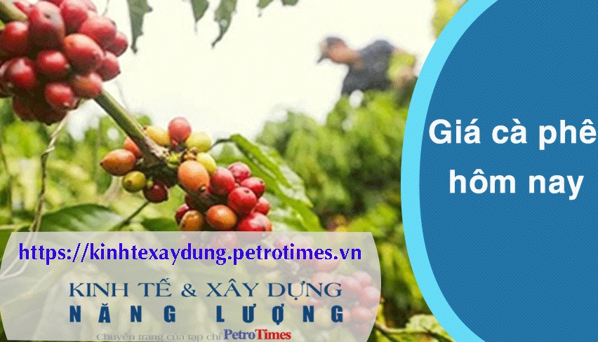 Giá cà phê hôm nay 27/3: Thị trường trong nước tiếp tục lập đỉnh mới