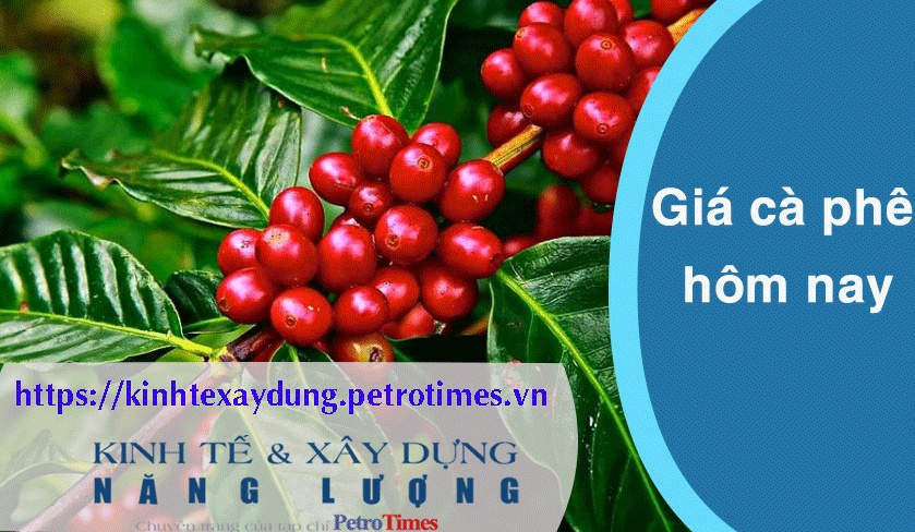 Giá cà phê hôm nay 28/3: Phiên thứ tư liên tiếp lập đỉnh mới