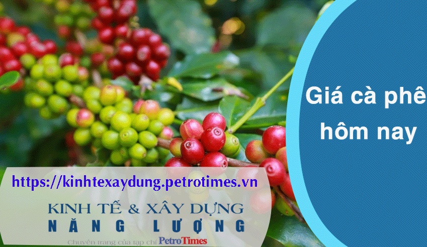 Giá cà phê hôm nay 29/3: Tăng mạnh, áp sát mốc 100.000 đồng