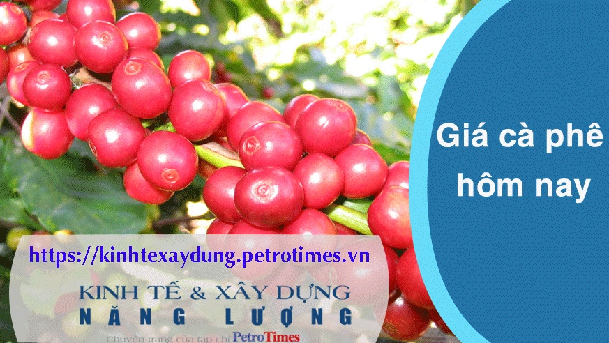 Giá cà phê hôm nay 6/4: Trong nước quay đầu giảm nhẹ