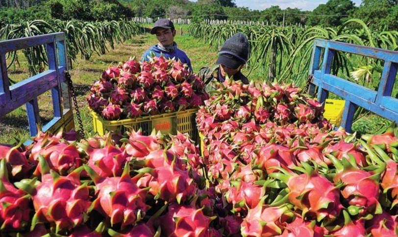 Kinh tế Việt Nam phục hồi tăng trưởng