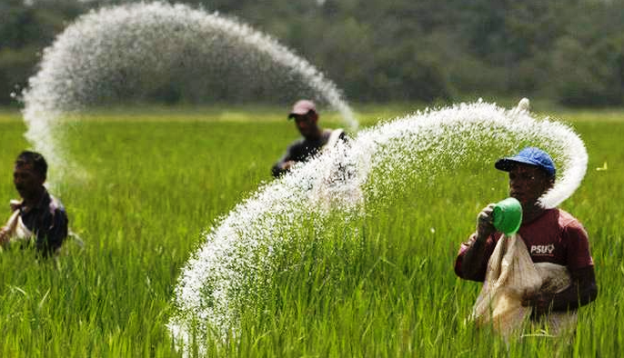 Hoa Kỳ hỗ trợ Việt Nam trong sản xuất nông nghiệp giảm phát thải