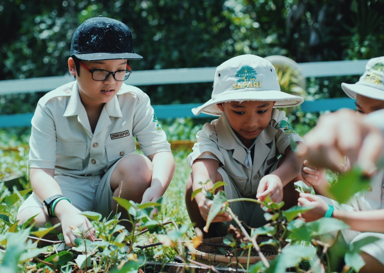 Khám phá trải nghiệm chạm đến hoang dã tại Vinpearl Safari Phú Quốc - 11