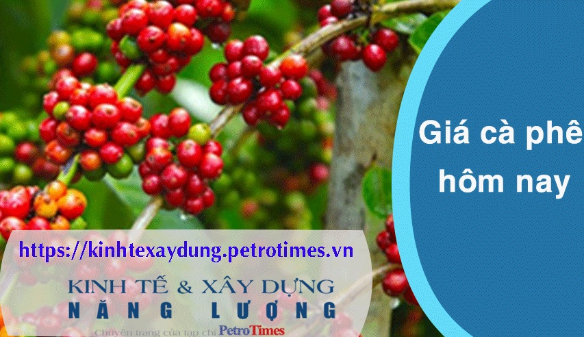 Giá cà phê hôm nay 11/4: Trong nước áp sát mốc 106.000 đồng