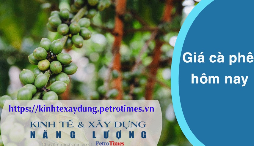 Giá cà phê hôm nay 13/4: Tiếp tục tăng mạnh, đạt mức 109.000 đồng