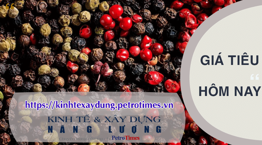 Giá tiêu hôm nay 14/4: Cao nhất 90.500 đồng/kg