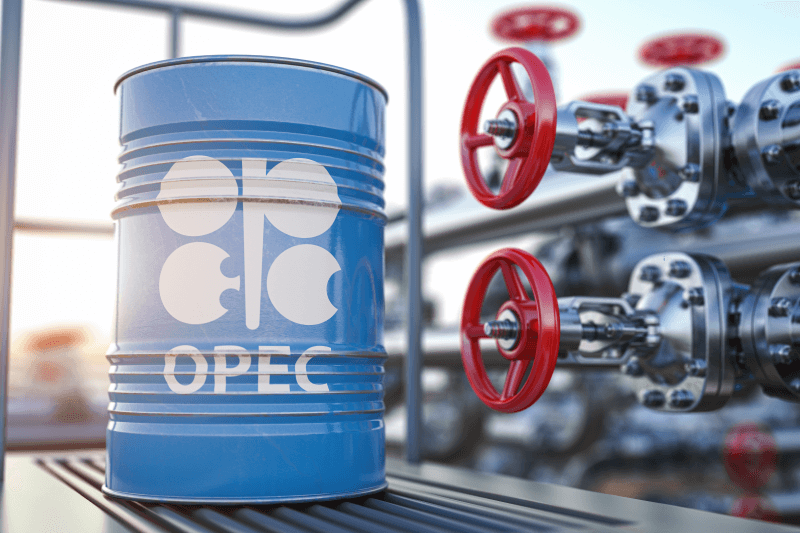 OPEC kêu gọi đầu tư nhiều hơn vào nhiên liệu hóa thạch