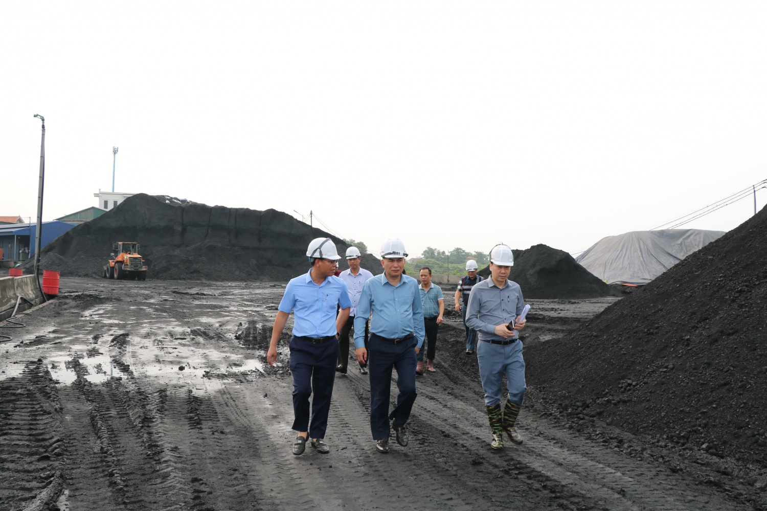 TKV làm việc cùng các hộ tiêu thụ than lớn khu vực miền Bắc