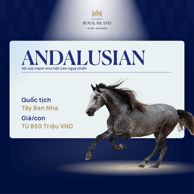 Andalusian là giống ngựa đa năng, thích hợp với các nhiệm vụ làm việc khác nhau.