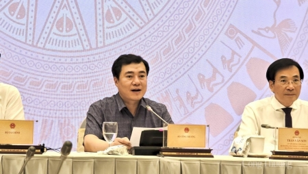 Thứ trưởng Bộ Công Thương Nguyễn Sinh Nhật Tân: Điện mặt trời mái nhà không phục vụ mục đích kinh doanh