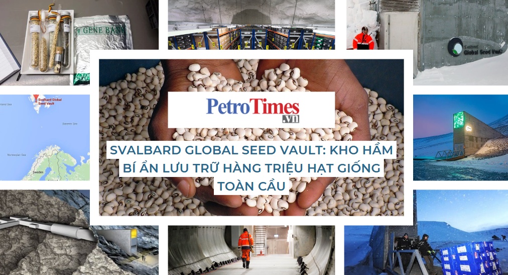 [PetroTimesMedia] Khám phá căn hầm bí ẩn lưu trữ hàng triệu loại hạt giống trên toàn cầu