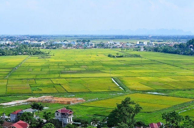 Tin bất động sản ngày 7/5: Phú Thọ đấu giá gần 200 lô đất, khởi điểm thấp nhất 1,7 triệu đồng/m2