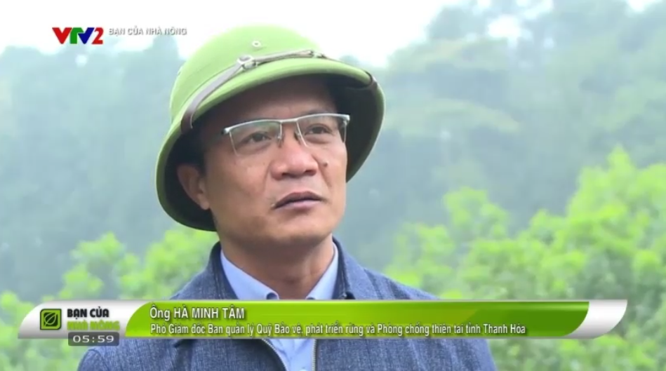 [VIDEO] Bài học thành công từ bán tín chỉ carbon rừng ở Thanh Hóa